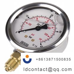 9626926_WIKA Stainless Steel Pointe